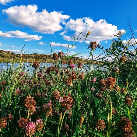 Holiday home 20 Person In