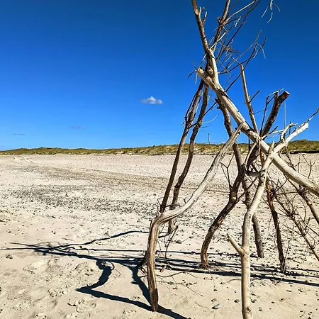 20 Person In Nørre Nebel